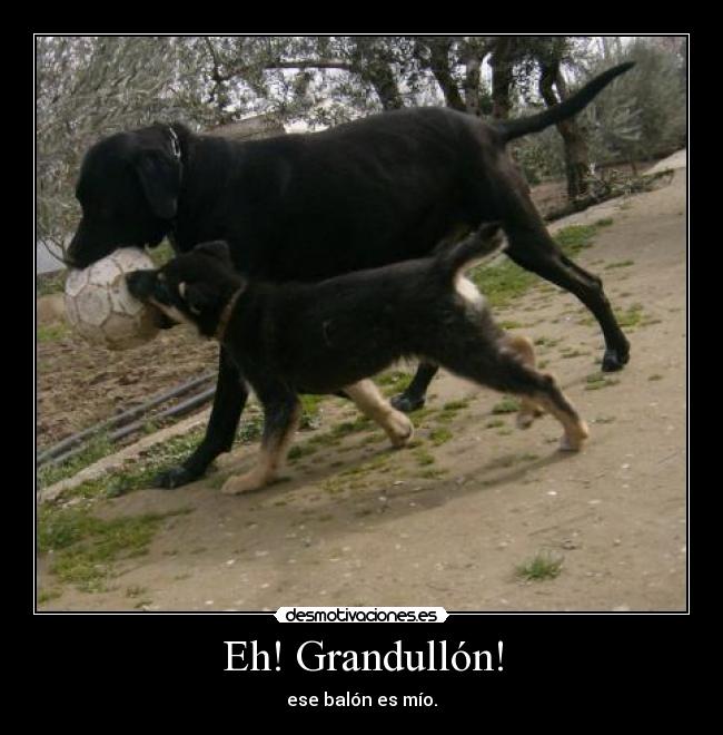 Eh! Grandullón! - 