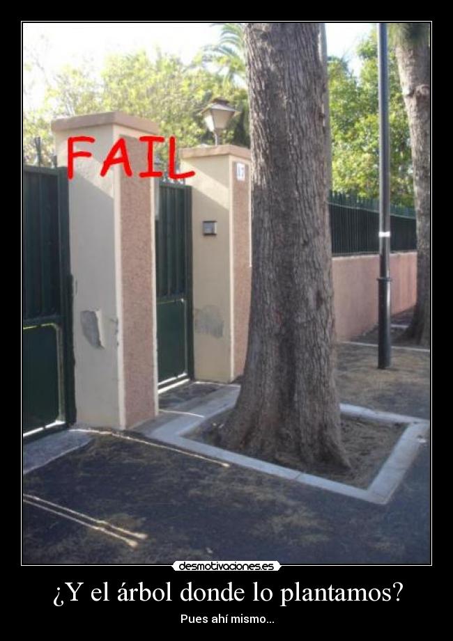 ¿Y el árbol donde lo plantamos? -
