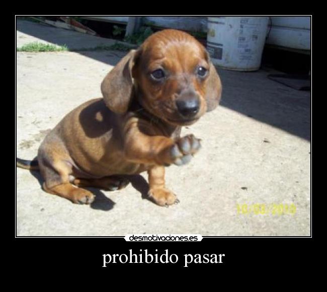 prohibido pasar -