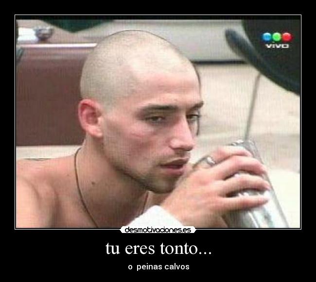 tu eres tonto... - 