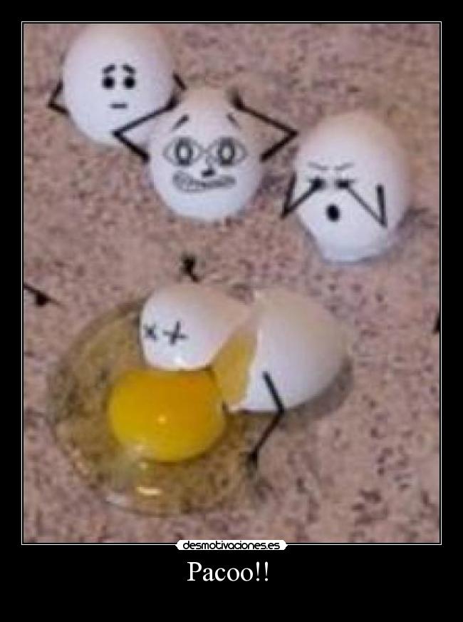 Pacoo!!  - 