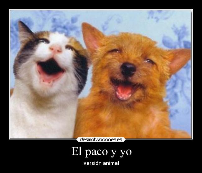 El paco y yo -