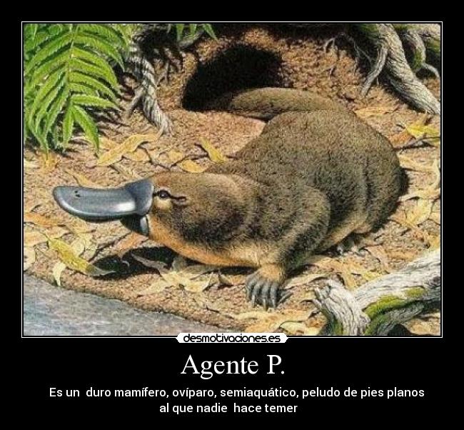 Agente P. - 