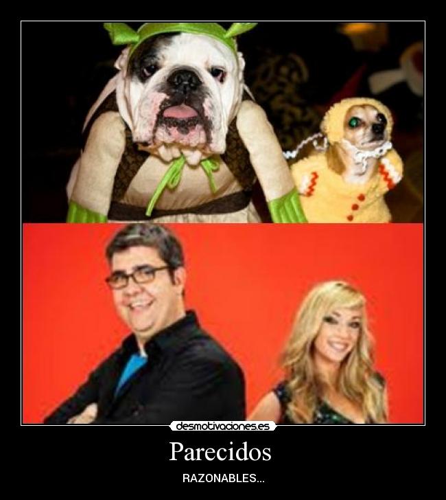 Parecidos -