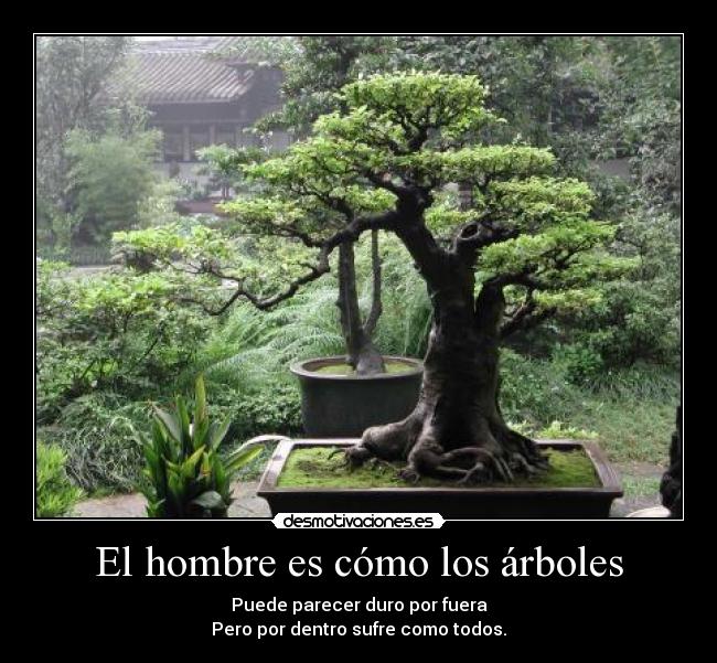 carteles arbol humano desmotivaciones