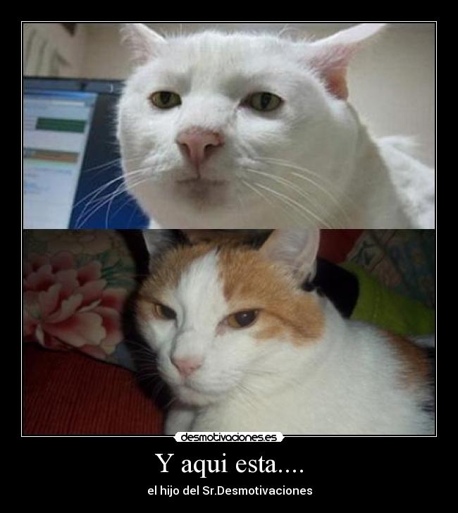 Y aqui esta.... - el hijo del Sr.Desmotivaciones