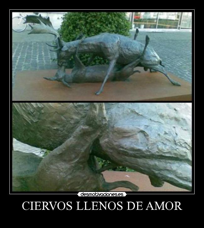 CIERVOS LLENOS DE AMOR -