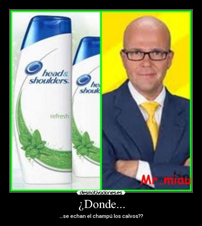 ¿Donde... - ...se echan el champú los calvos??