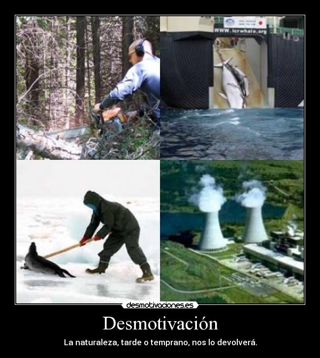 carteles desmotivacion desmotivaciones