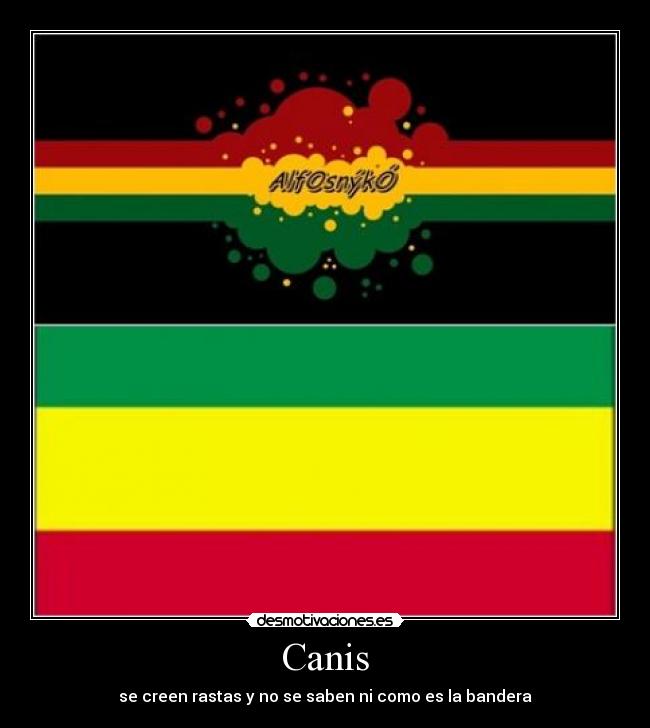 Canis - se creen rastas y no se saben ni como es la bandera