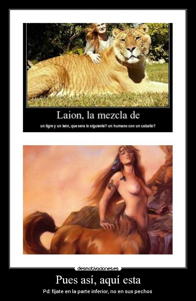 Pues así, aquí esta - 