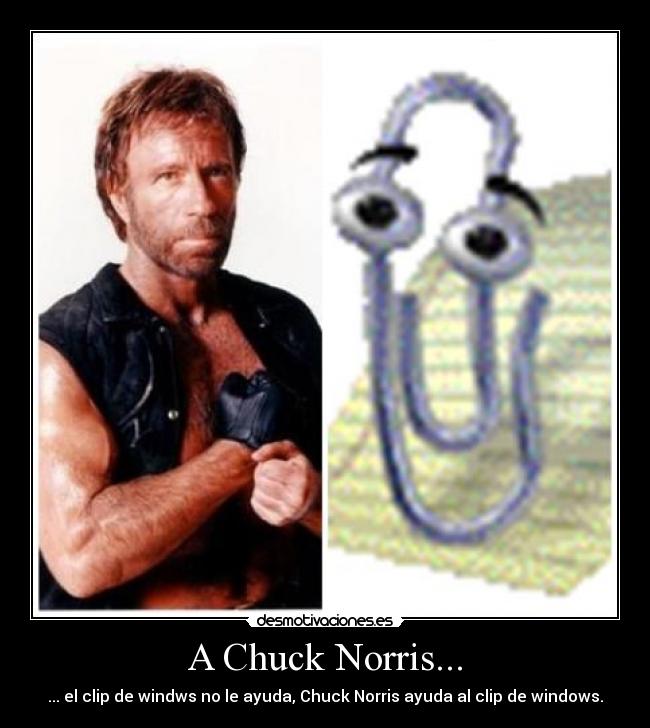 A Chuck Norris... -