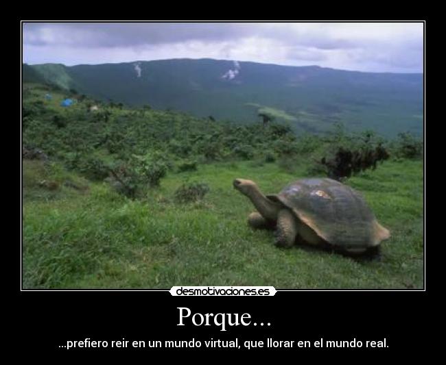 Porque... - 