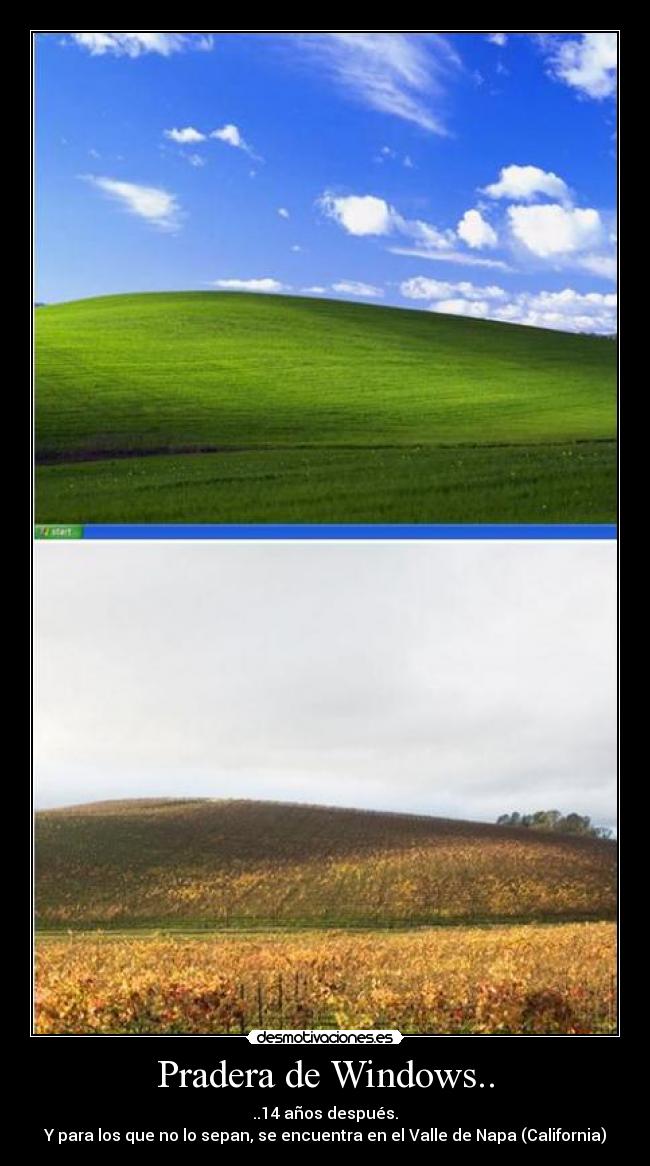 Pradera de Windows.. - ..14 años después.
Y para los que no lo sepan, se encuentra en el Valle de Napa (California)