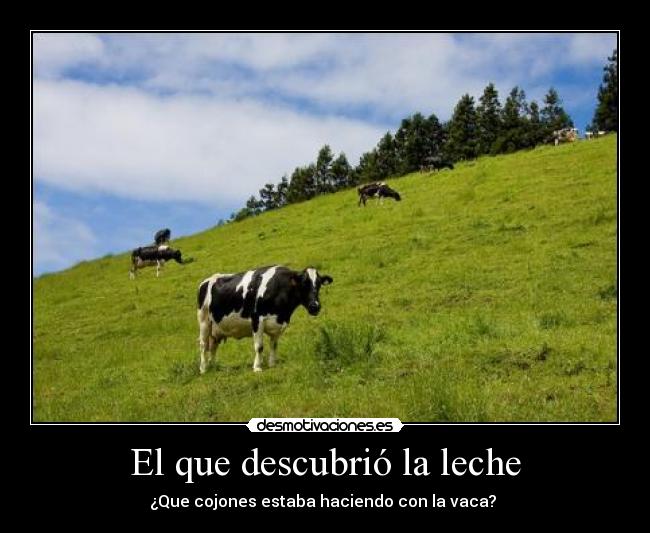 El que descubrió la leche - ¿Que cojones estaba haciendo con la vaca? 