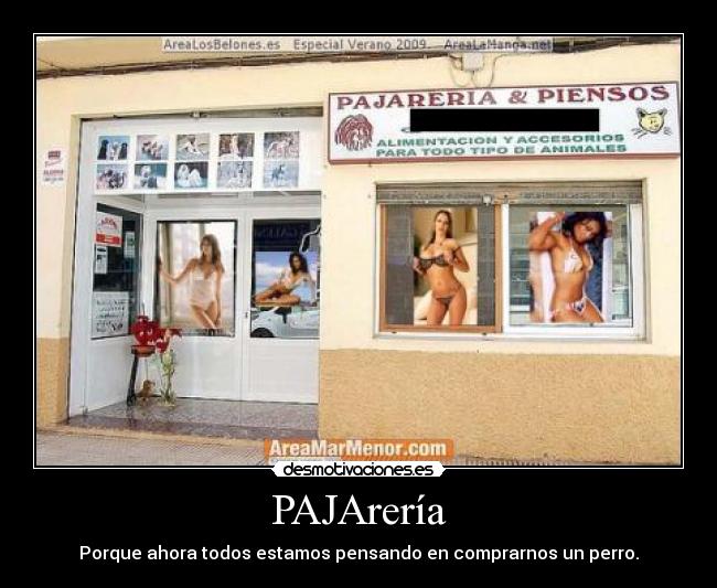 PAJArería - Porque ahora todos estamos pensando en comprarnos un perro.