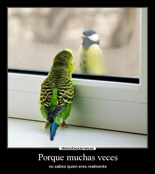 Porque muchas veces -