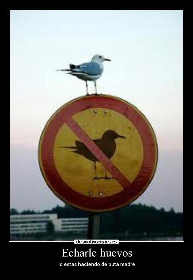 Echarle huevos - lo estas haciendo de puta madre