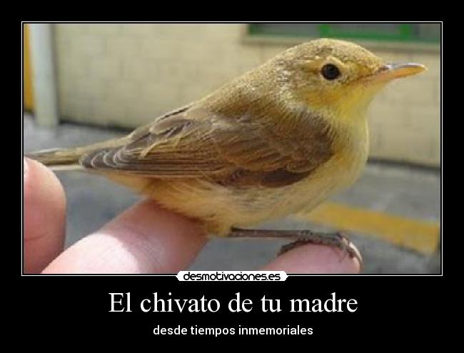 El chivato de tu madre - 