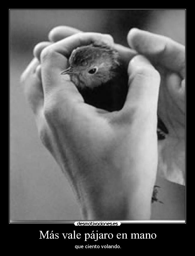 Más vale pájaro en mano -