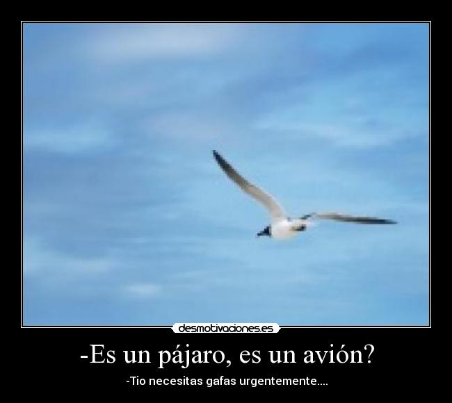 -Es un pájaro, es un avión? -