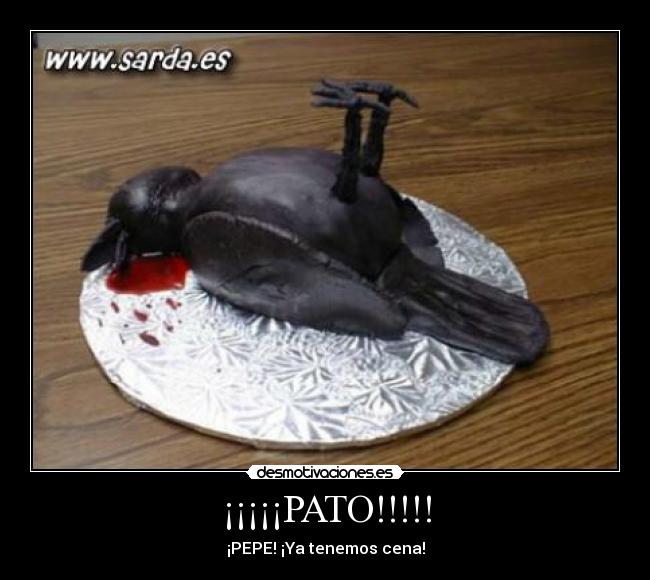 ¡¡¡¡¡PATO!!!!! - ¡PEPE! ¡Ya tenemos cena!