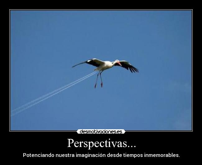 Perspectivas... - 