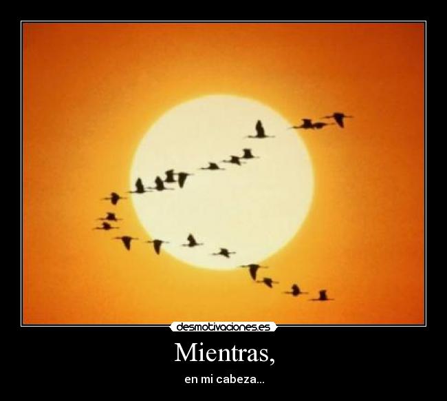 Mientras, - en mi cabeza...