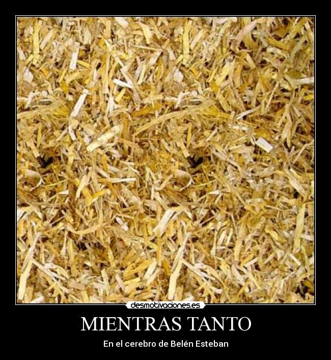 carteles kilojulio desmotivaciones