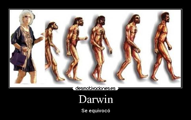 Darwin -