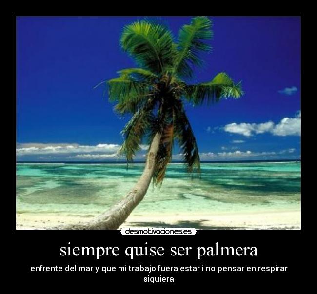 siempre quise ser palmera - enfrente del mar y que mi trabajo fuera estar i no pensar en respirar siquiera