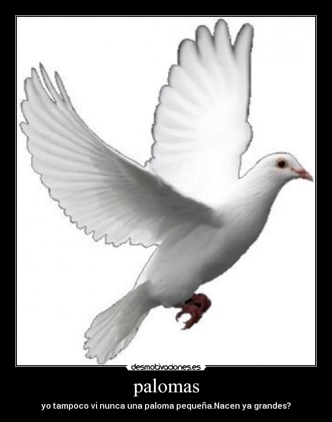 carteles comico desmotivaciones