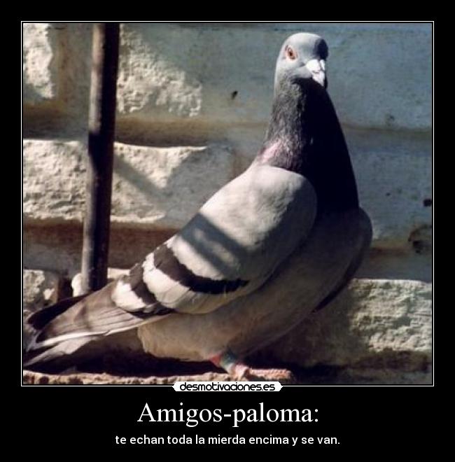 Amigos-paloma: - te echan toda la mierda encima y se van.