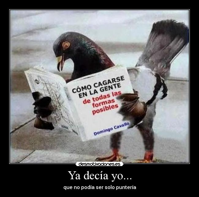 Ya decía yo... - que no podía ser solo puntería