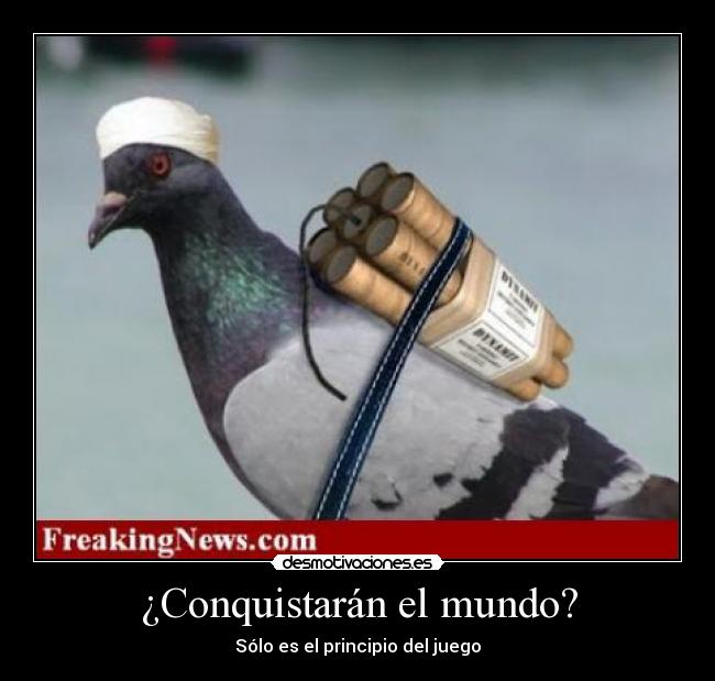 ¿Conquistarán el mundo? -