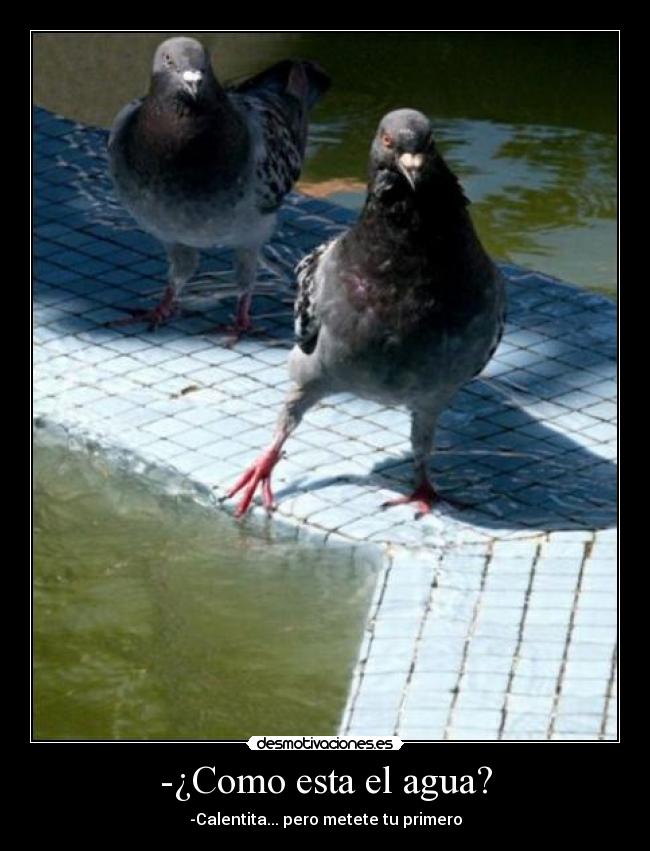 -¿Como esta el agua? - -Calentita... pero metete tu primero