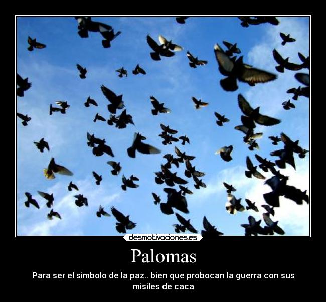 Palomas - Para ser el simbolo de la paz.. bien que probocan la guerra con sus misiles de caca