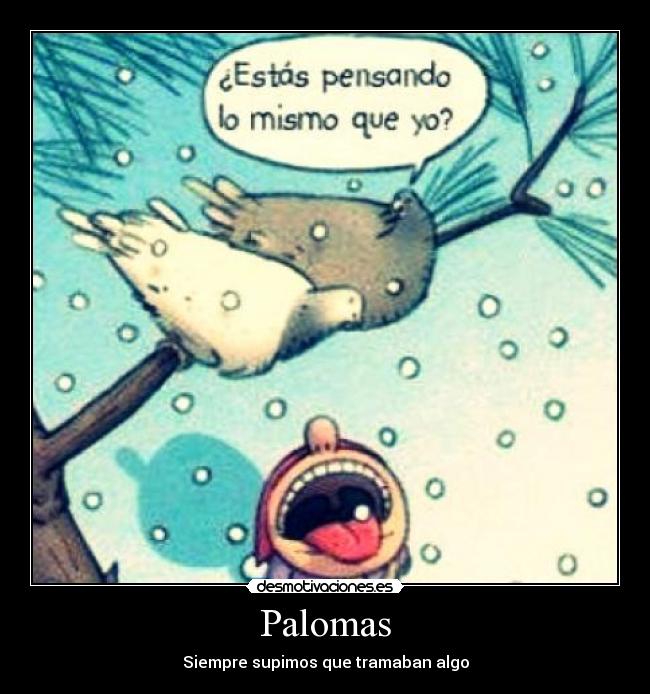 Palomas - Siempre supimos que tramaban algo