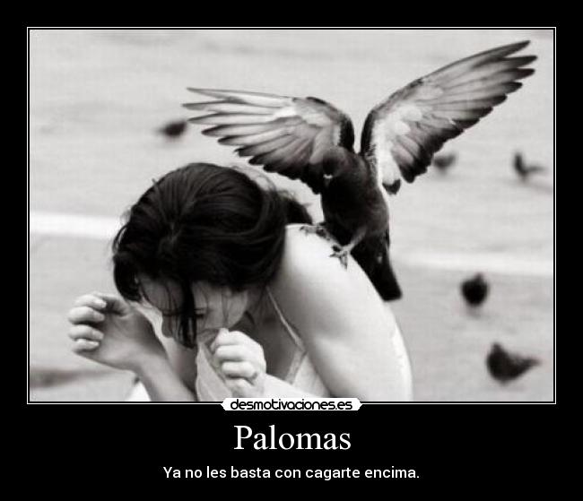 Palomas -