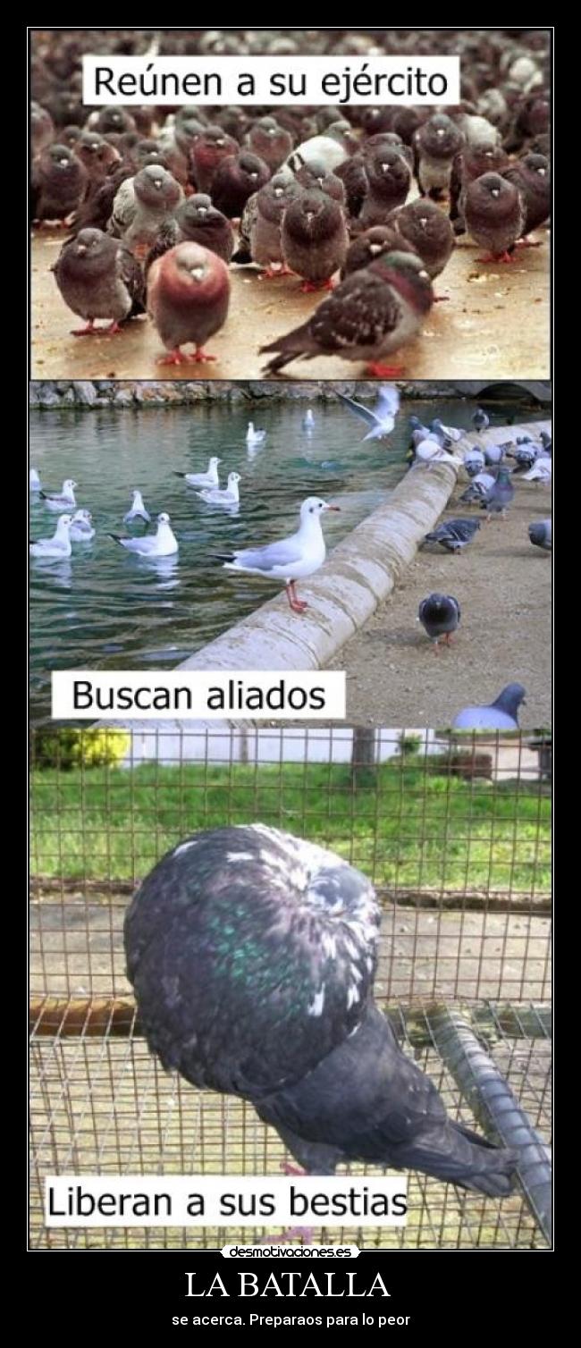 LA BATALLA -