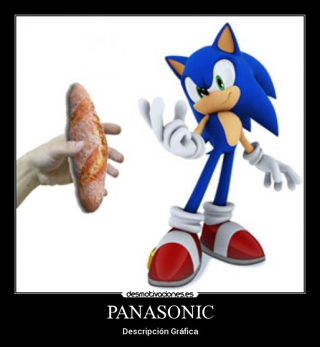 PANASONIC - Descripción Gráfica