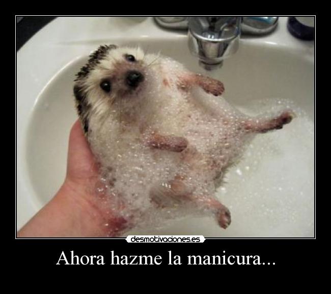 Ahora hazme la manicura... -