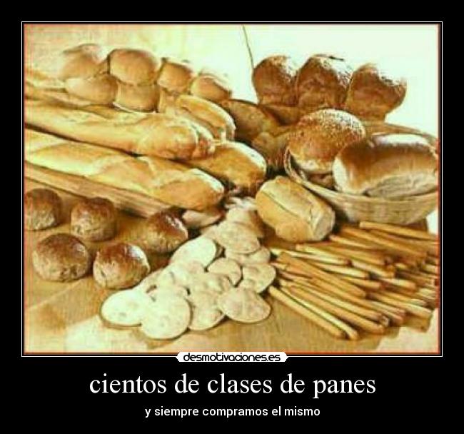 cientos de clases de panes - y siempre compramos el mismo