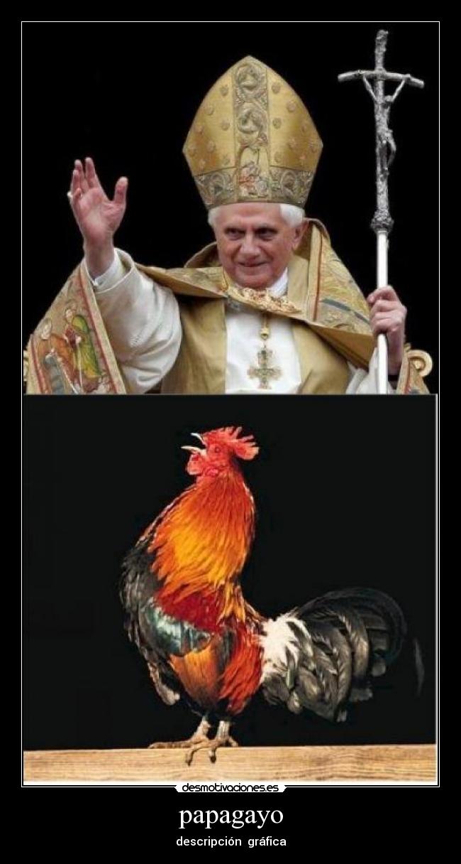 papagayo - descripción gráfica