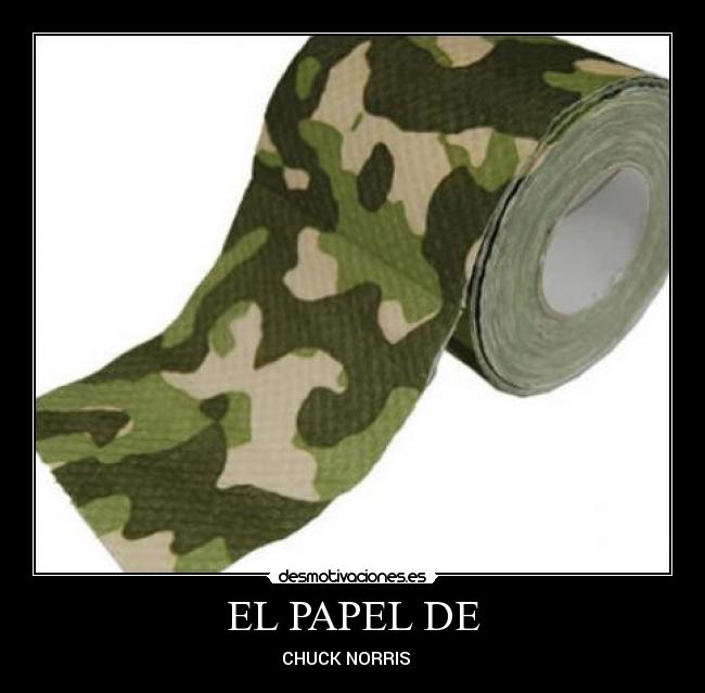 EL PAPEL DE - CHUCK NORRIS