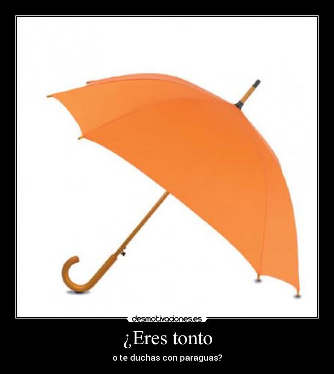 carteles tonto eres tonto desmotivaciones