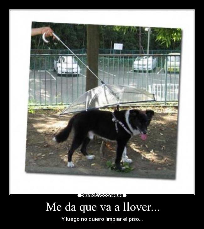 Me da que va a llover... - Y luego no quiero limpiar el piso...