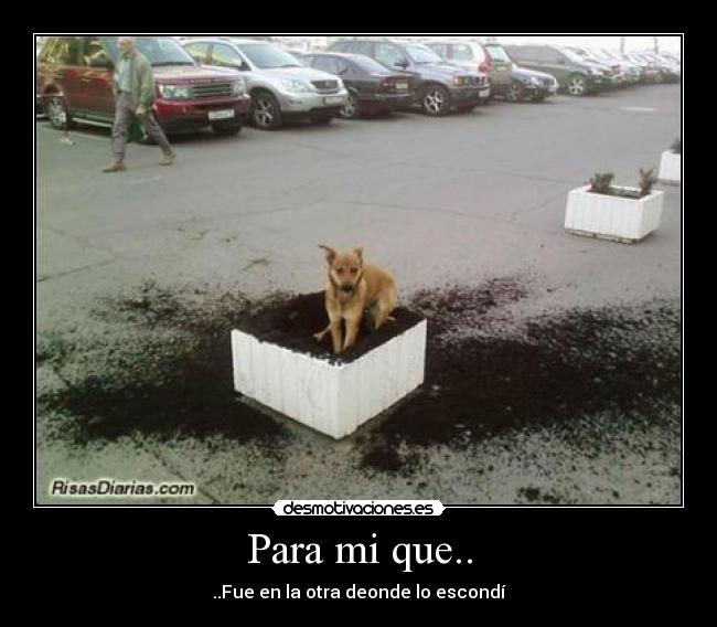 Para mi que.. - ..Fue en la otra deonde lo escondí