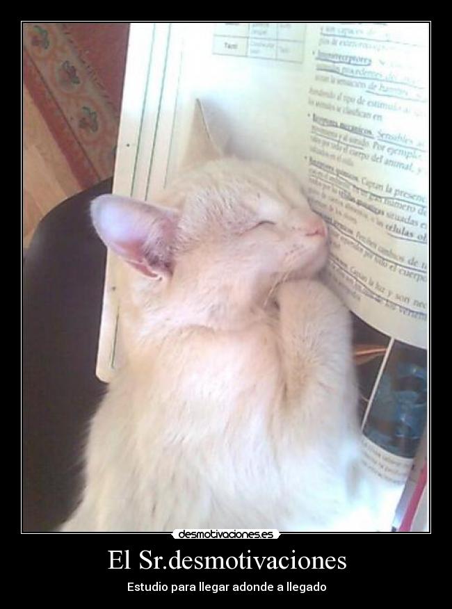 El Sr.desmotivaciones - Estudio para llegar adonde a llegado