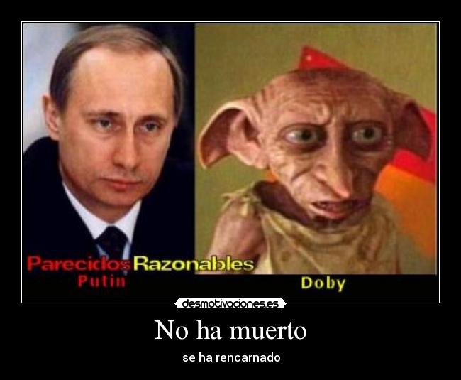 carteles dobby morir desmotivaciones